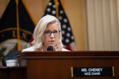 liz cheney net worth