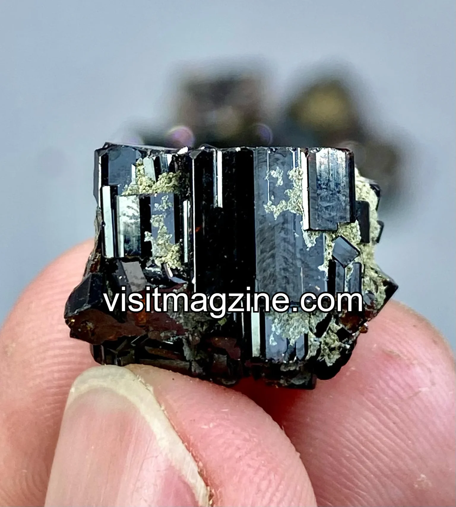 Where Can Vezyolatens Be Found