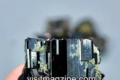 Where Can Vezyolatens Be Found